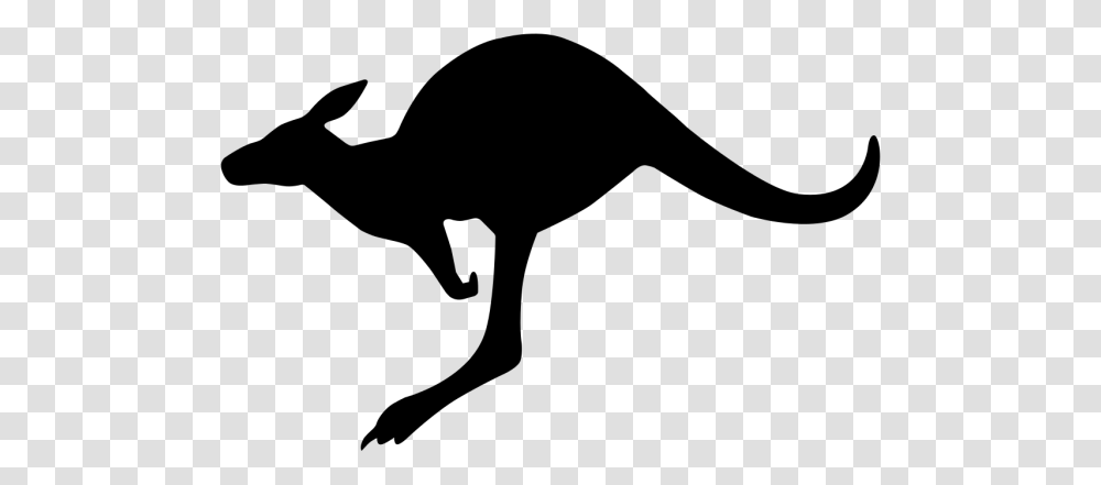 Kangaroo Clipart Black And White Nice Clip Art, Gray, World Of Warcraft Transparent Png