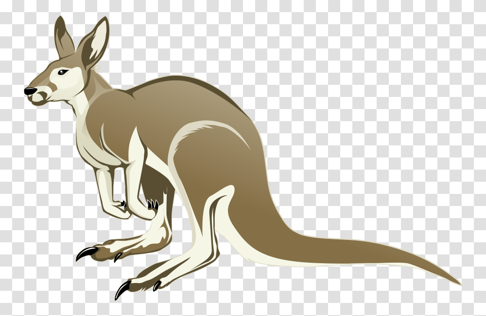 Kangaroo Clipart Image Cartoon Kangaroo Background, Mammal, Animal, Wallaby, Antelope Transparent Png