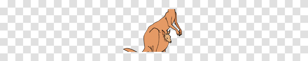 Kangaroo Clipart Kangaroo Kangaroo Clipart Herbivores Mammal, Animal, Wallaby, Person, Human Transparent Png
