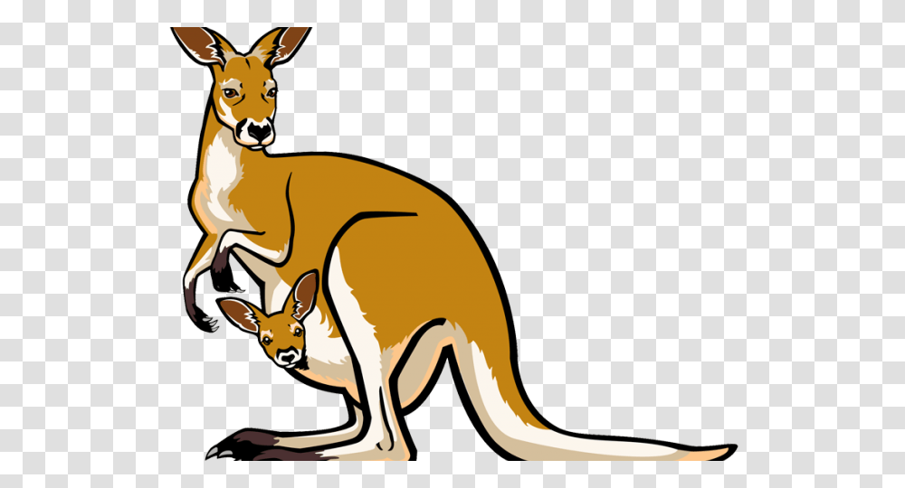 Kangaroo Clipart, Mammal, Animal, Wallaby, Antelope Transparent Png