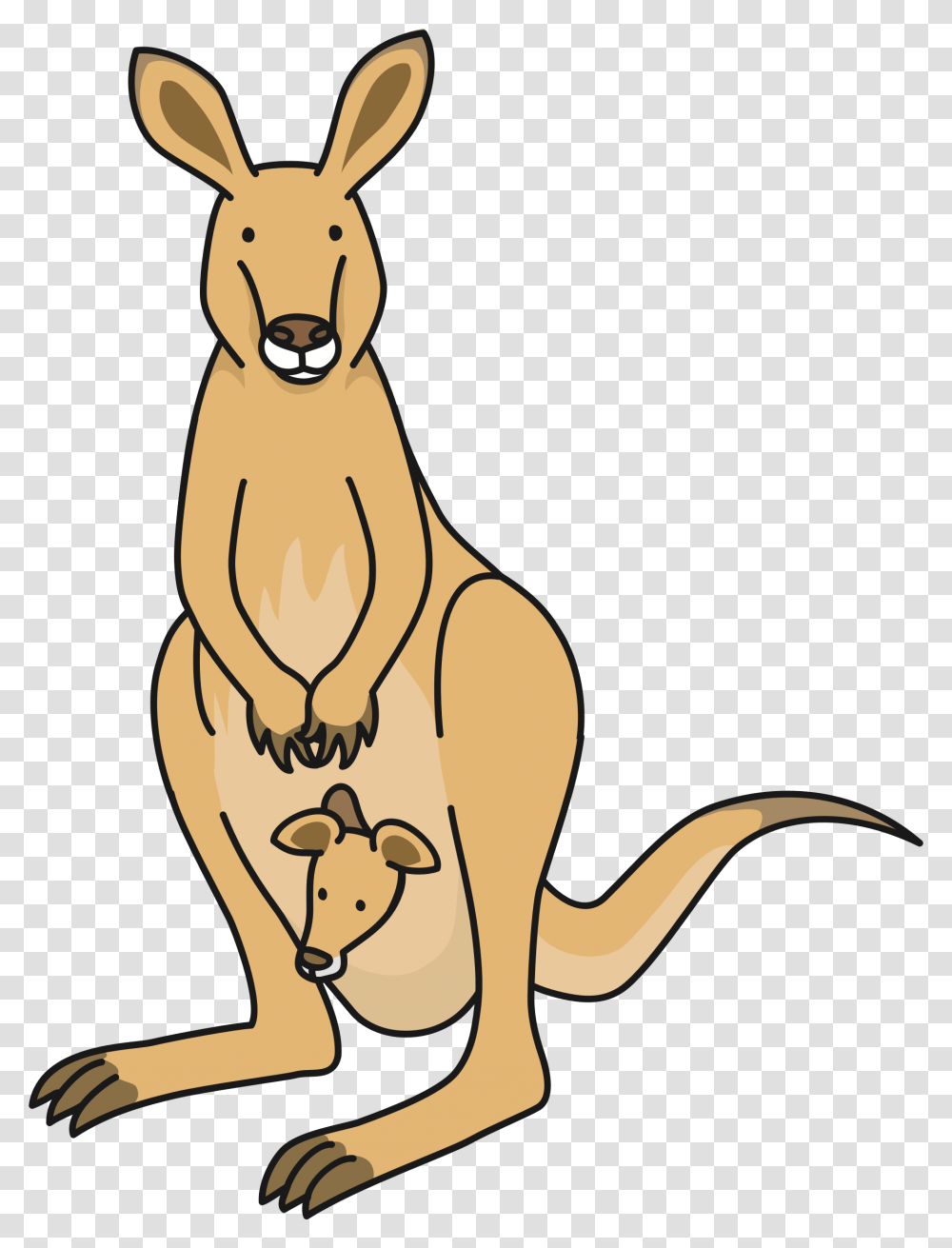 Kangaroo Clipart, Mammal, Animal, Wallaby Transparent Png