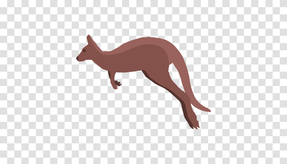 Kangaroo Jumping, Mammal, Animal, Wallaby Transparent Png