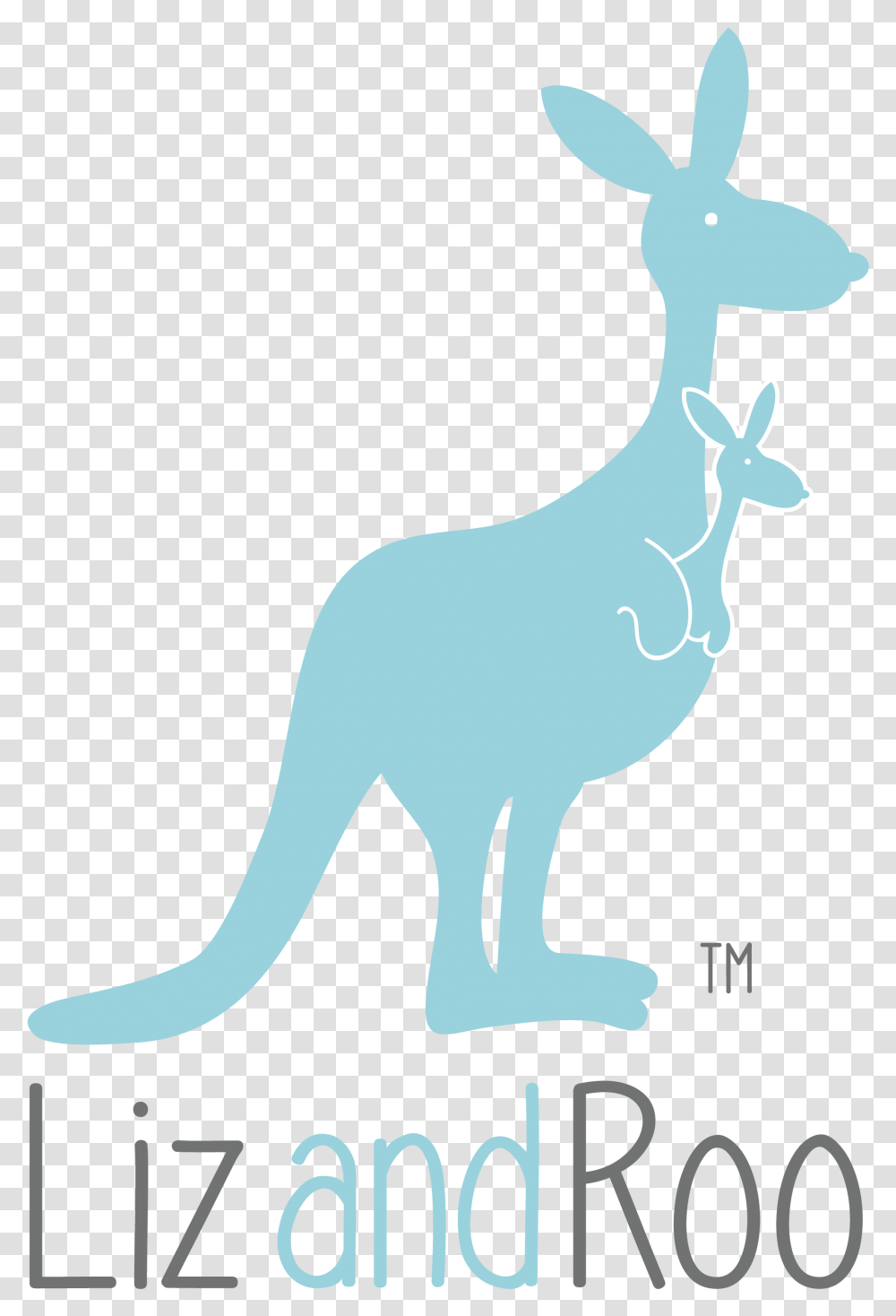 Kangaroo, Mammal, Animal, Wallaby, Antelope Transparent Png