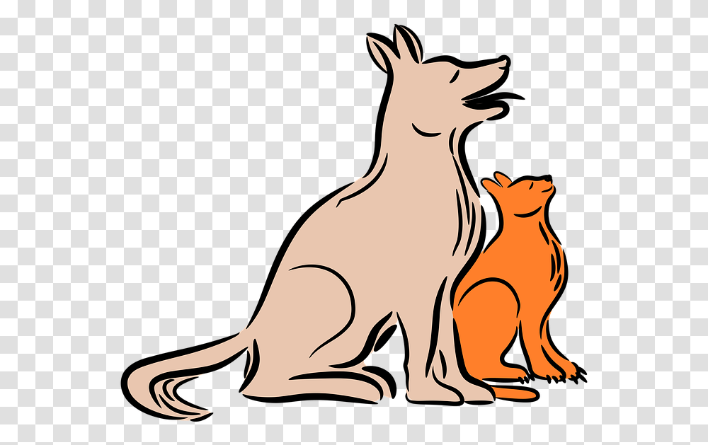 Kangaroo, Mammal, Animal, Wallaby, Dog Transparent Png