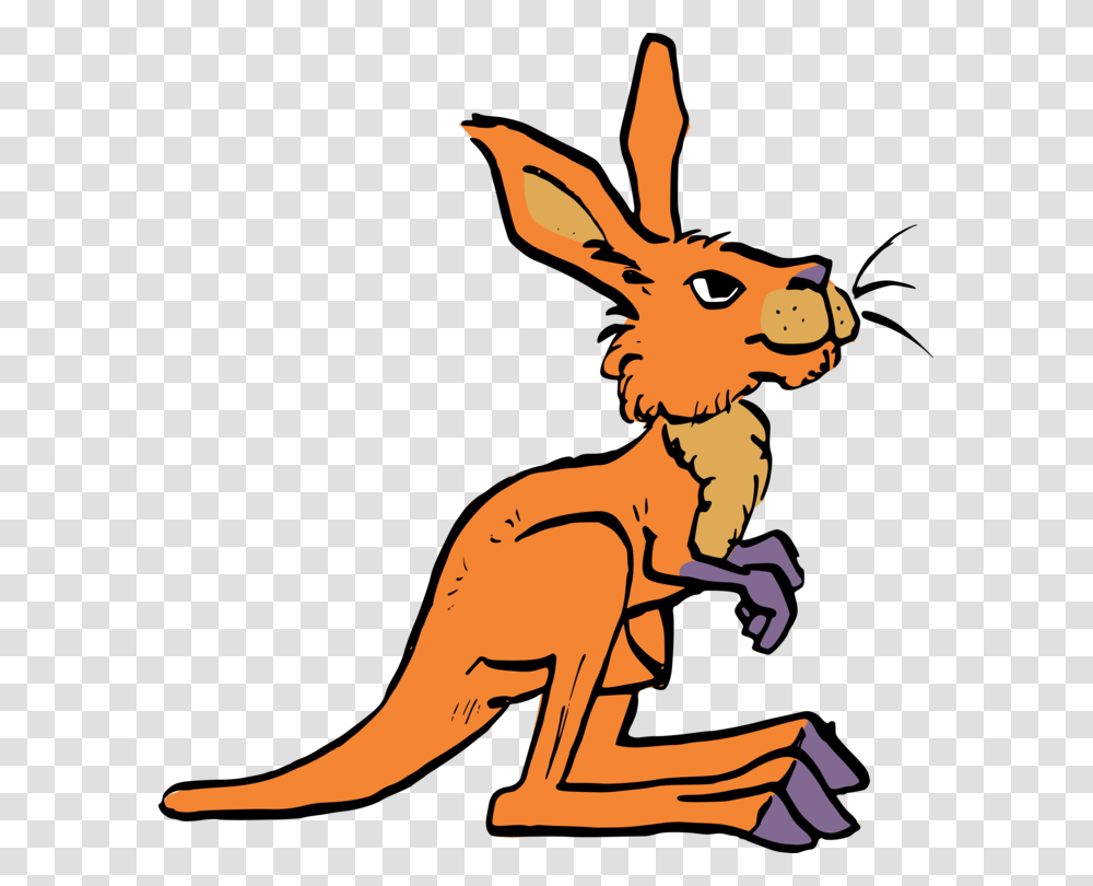 Kangaroo Rat Macropods Tail Drawing, Mammal, Animal, Wallaby, Person Transparent Png