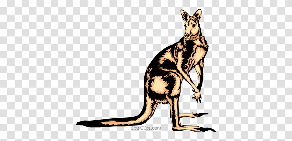 Kangaroo Royalty Free Vector Clip Art Illustration, Mammal, Animal, Wallaby, Tiger Transparent Png