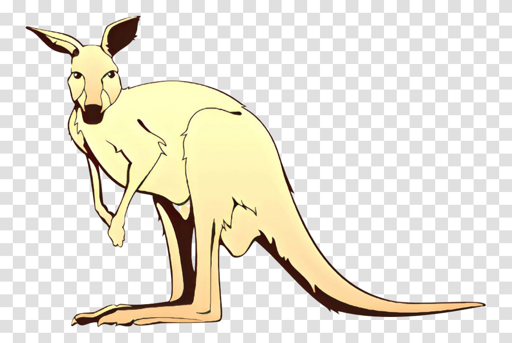 Kangaroo Wallaby Images Kangaroo, Mammal, Animal, Aardvark, Wildlife Transparent Png