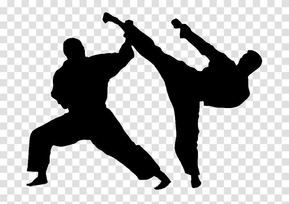 Karate Free Image Arts, Person, Human, Sport, Sports Transparent Png