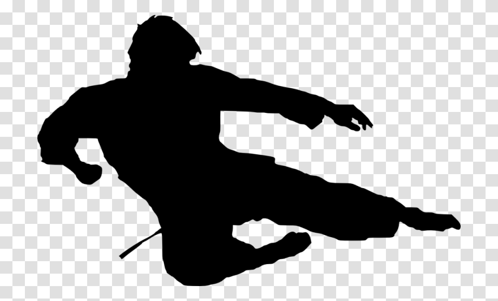 Karate Silhouette, Person, Human, Duel, Ninja Transparent Png