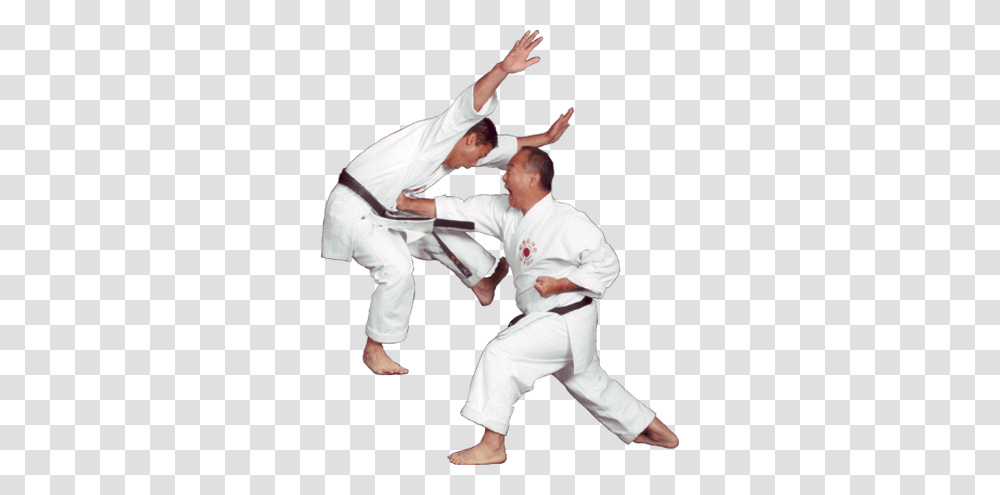 Karate, Sport, Judo, Martial Arts, Person Transparent Png