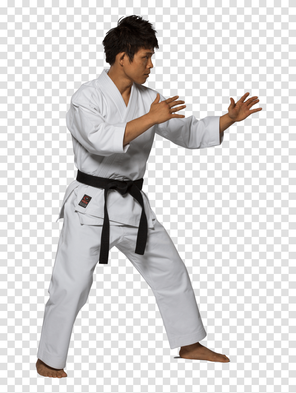 Karate, Sport, Martial Arts, Person, Human Transparent Png