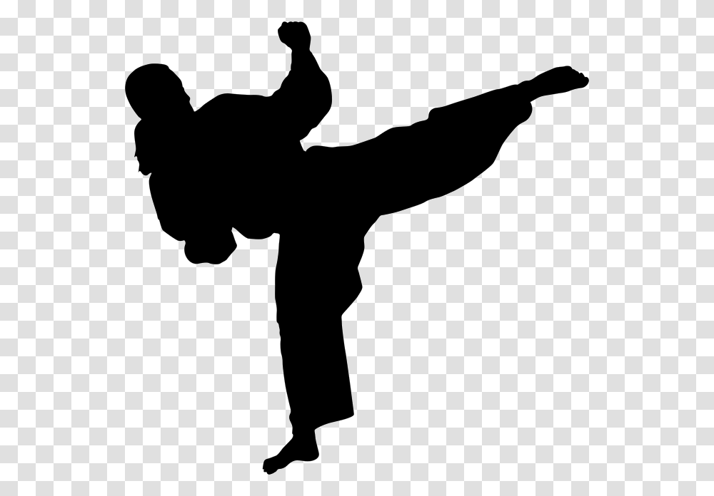 Karate, Sport, Person, Human, Sports Transparent Png