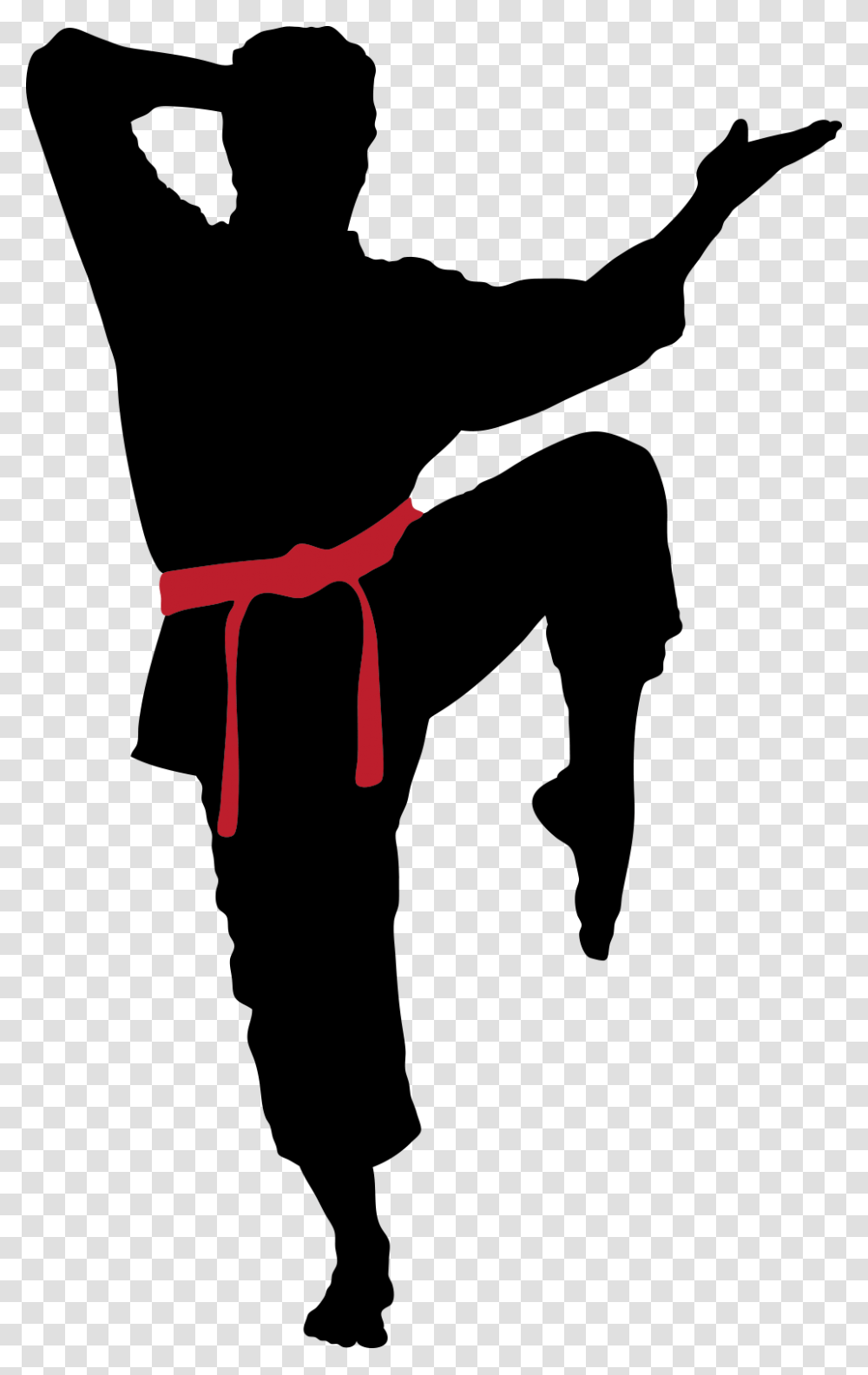 Karate, Sport, Person, Human, Sports Transparent Png