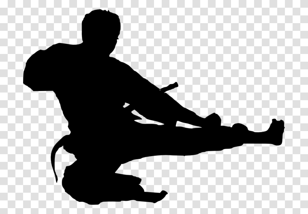 Karate, Sport, Silhouette, Person, Duel Transparent Png