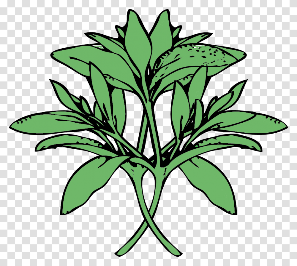 Kates Table Sage, Plant, Leaf, Flower, Blossom Transparent Png