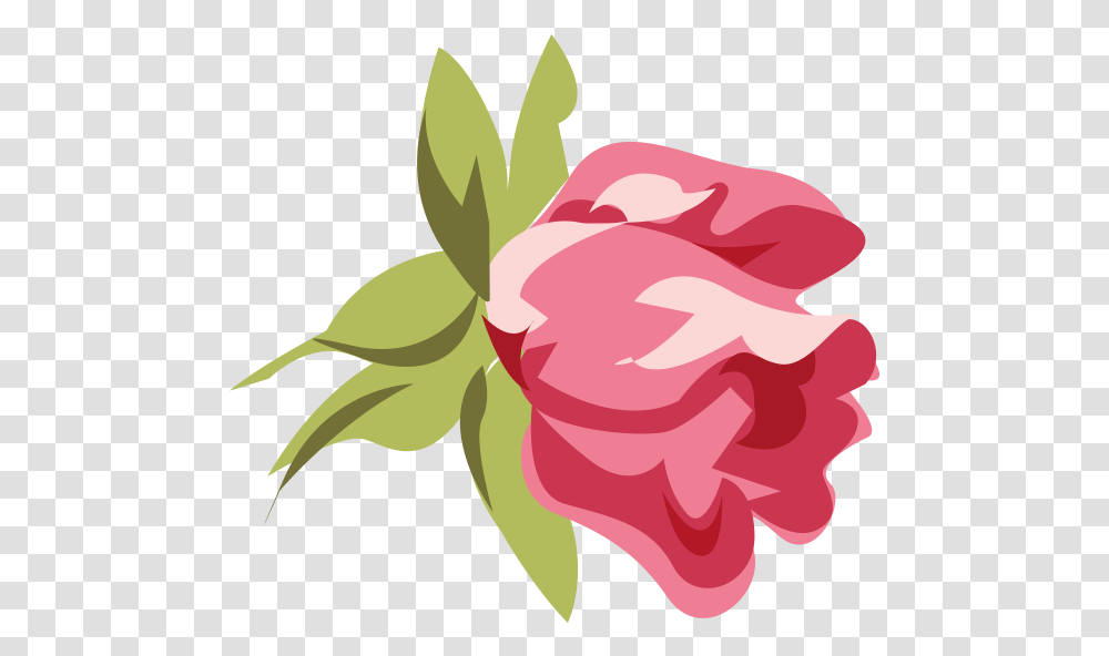 Kath Kidson Like Pink Roses Rose Shabby Chic, Plant, Flower, Blossom, Peony Transparent Png