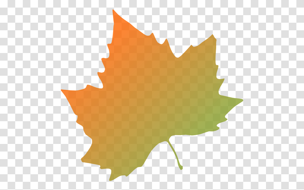 Kattekrab Plane Tree Autumn Leaf Clip Arts For Web Autumn Leaves Clip Art, Plant, Person, Human, Maple Leaf Transparent Png