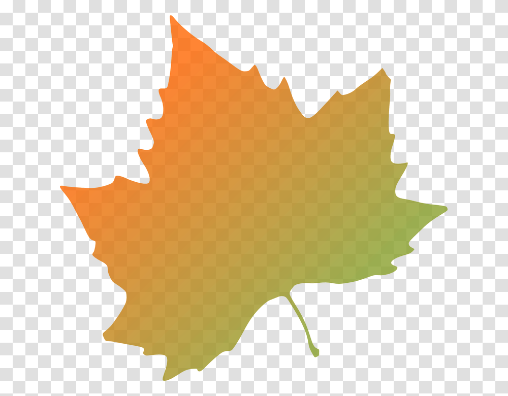 Kattekrab Plane Tree Autumn Leaf Svg Clip Arts Autumn Leaves Clip Art, Plant, Person, Human, Maple Leaf Transparent Png