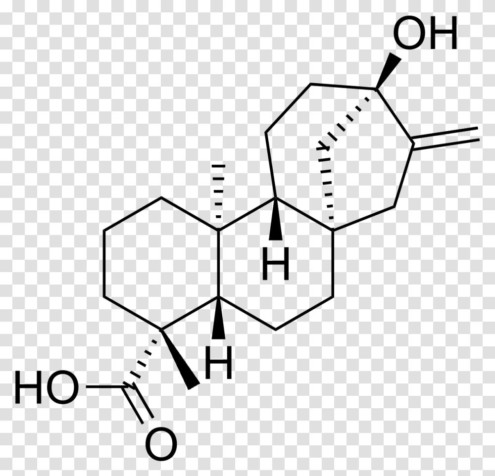 Kaurenoic Acid, Gray, World Of Warcraft Transparent Png