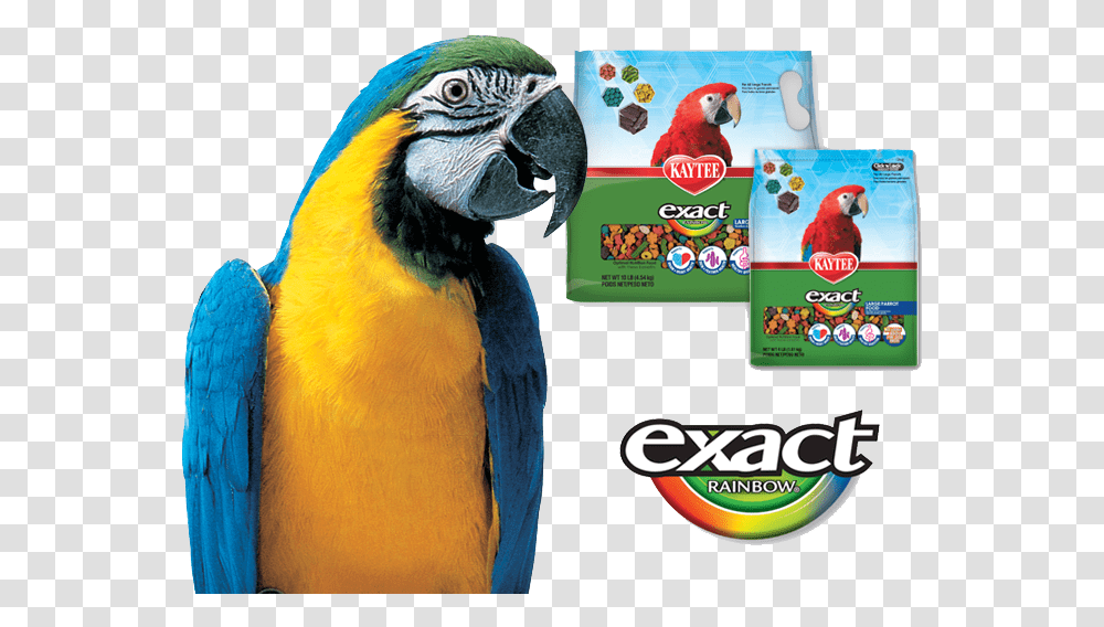 Kaytee Exact Bird Food Birds, Macaw, Parrot, Animal Transparent Png