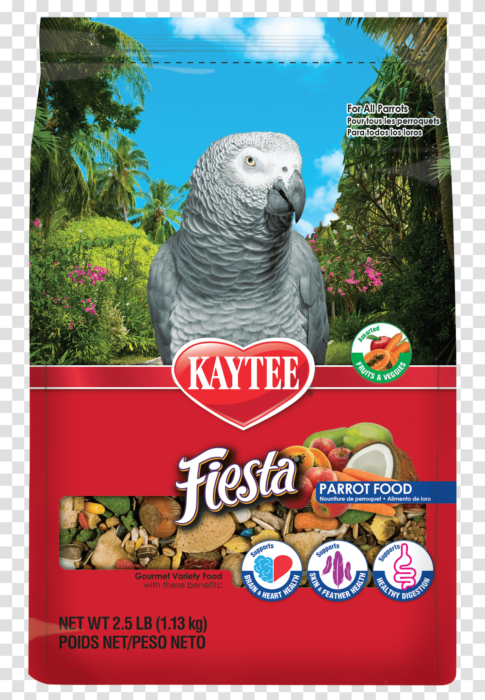 Kaytee Fiesta Bird, Animal, Poster, Advertisement, African Grey Parrot Transparent Png