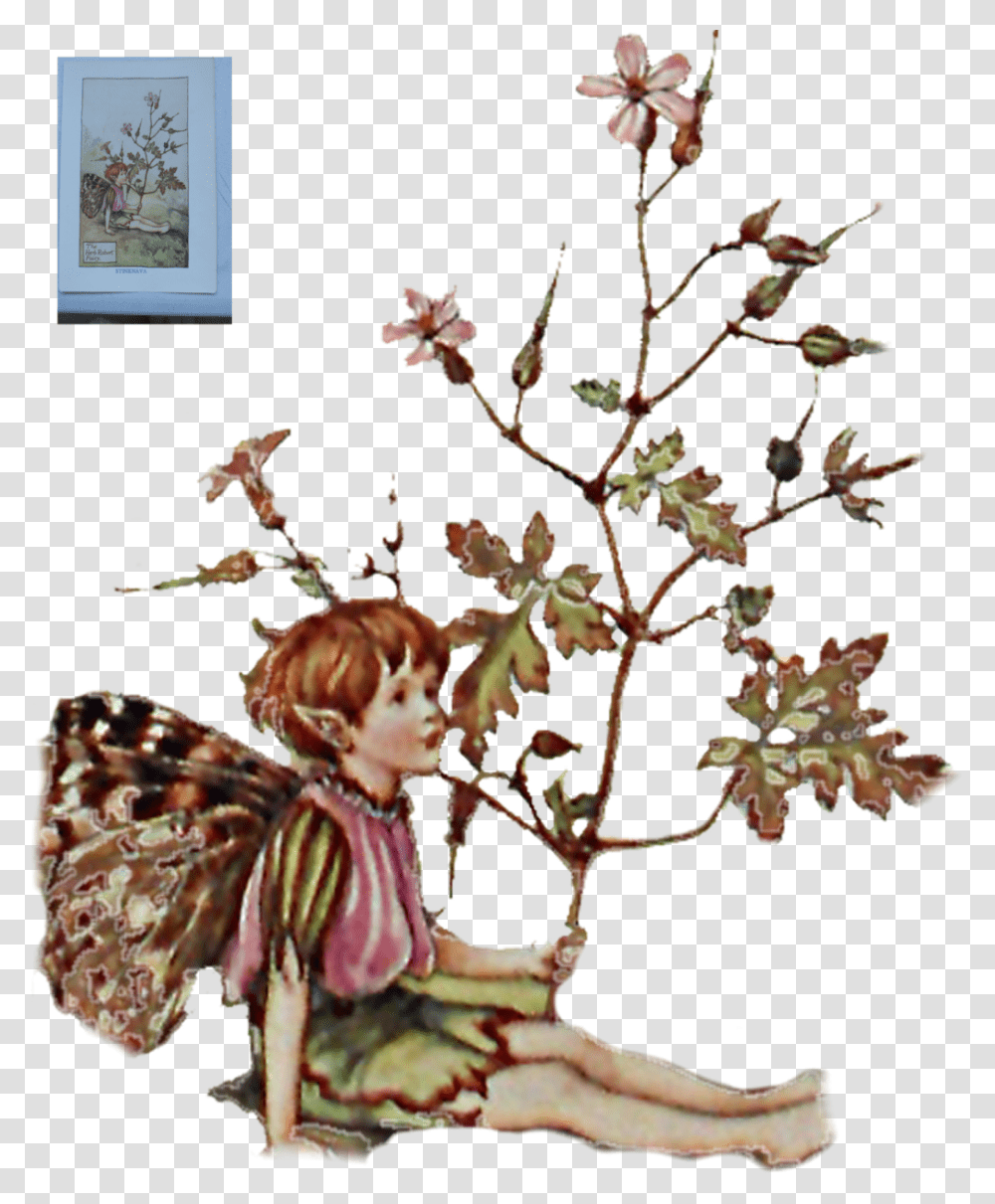 Kbytes Book Of The Flower Fairies, Plant, Acanthaceae, Tree, Vase Transparent Png