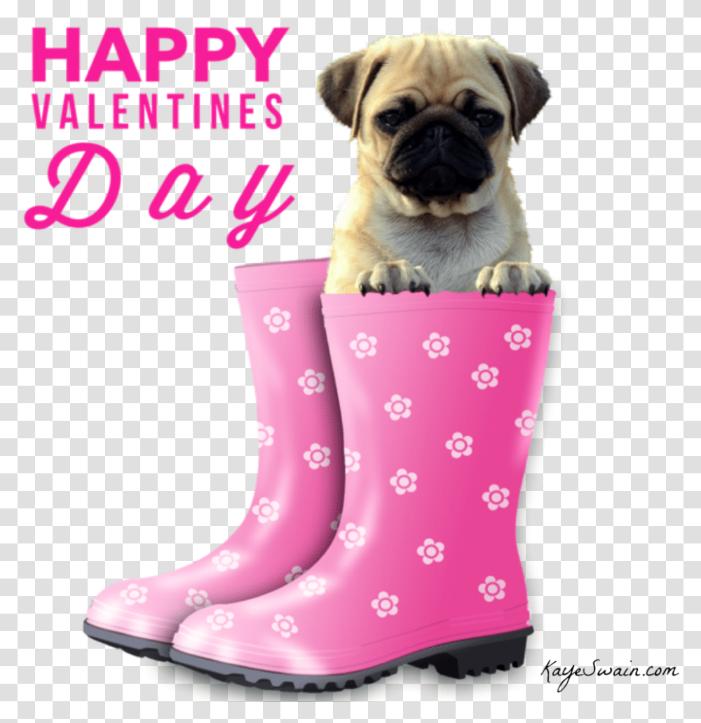 Kbytes Photo Happy Valentines Day Dog, Pet, Animal, Mammal, Canine Transparent Png
