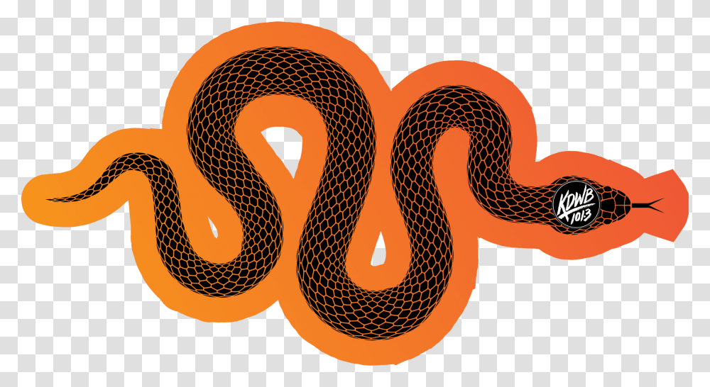 Kdwb, Label, Alphabet, Snake Transparent Png