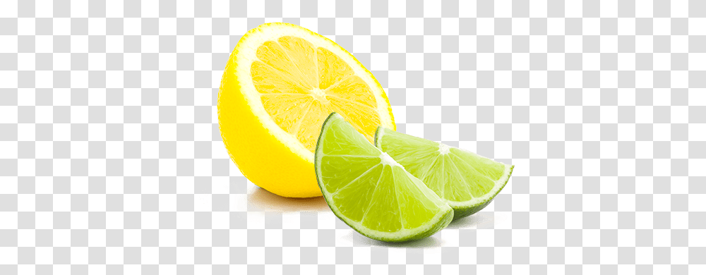 Ke Organic Kombucha Key Lime, Citrus Fruit, Plant, Food, Tennis Ball Transparent Png
