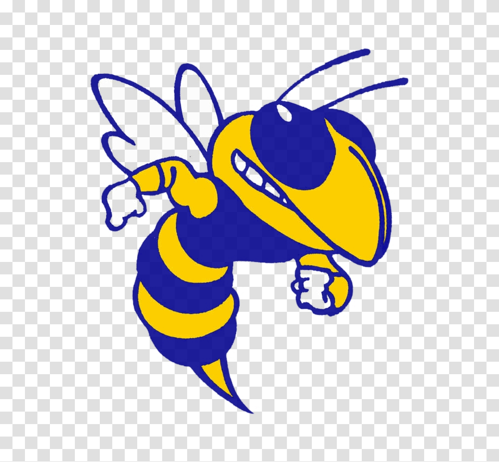 Kearsley Byrd High School Mascot, Insect, Invertebrate, Animal, Wasp Transparent Png