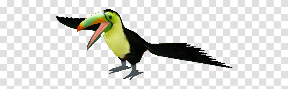 Keel Billed Toucan Keel Billed Toucan, Bird, Animal, Beak, Parrot Transparent Png