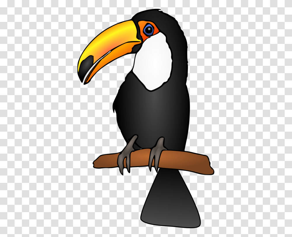 Keel Billed Toucan Piciformes Bird Parrot, Animal, Beak Transparent Png