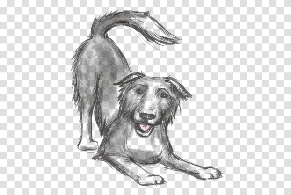 Keep The Tail Wagging Icon A Sketch Of Our Dog Blue Raw Food For Dogs Weight, Animal, Mammal, Lion, Wildlife Transparent Png