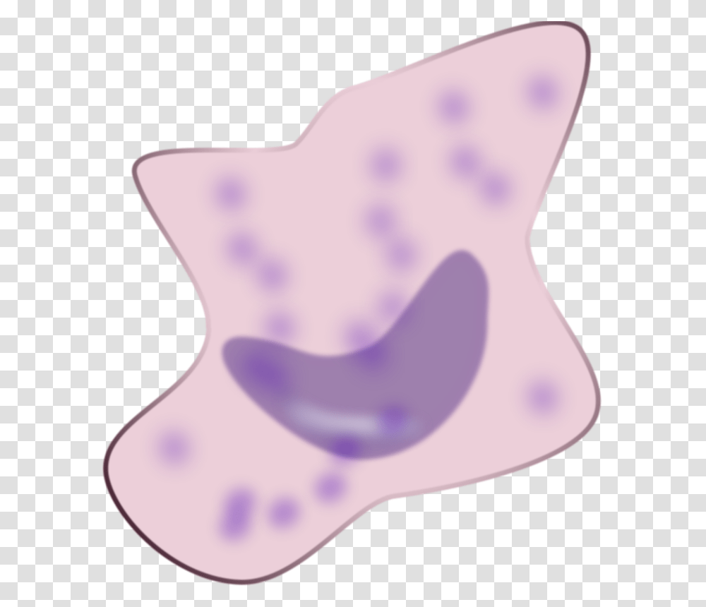 Keikannui Macrophage, Leisure Activities, Ornament, Pattern, Amethyst Transparent Png