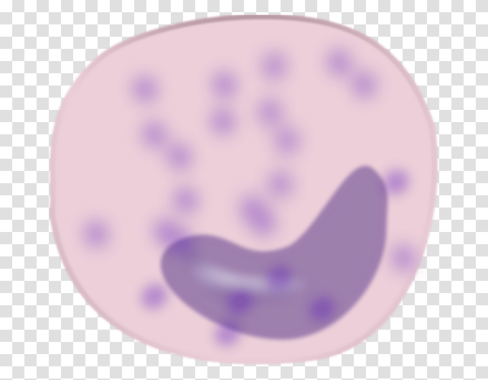 Keikannui Monocyte, Purple, Heel, Footprint, Balloon Transparent Png