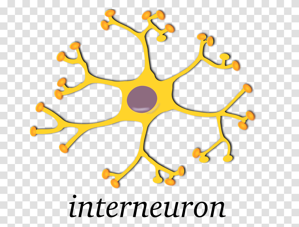Keikannui Neuron Interneuron, Technology, Plant Transparent Png