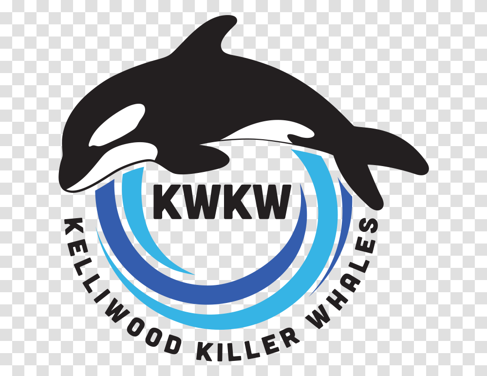 Kelliwood Killer Whales Logo Killer Whale, Sea Life, Animal, Mammal, Dolphin Transparent Png