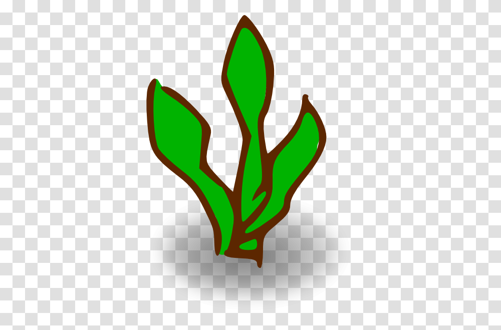 Kelp Clip Art, Plant, Ketchup, Food, Light Transparent Png