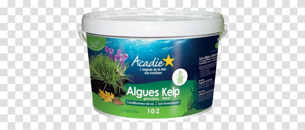 Kelp Meal Engrais Algues Marines, Sea Life, Animal, Plant, Water Transparent Png