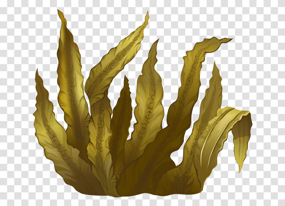 Kelp Seaweed Algae Deep Sea Tangles Seaweed, Pattern, Painting, Fractal Transparent Png