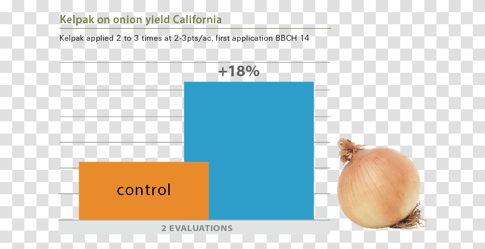 Kelpak Onion, Plant, Text, Plot, Fungus Transparent Png