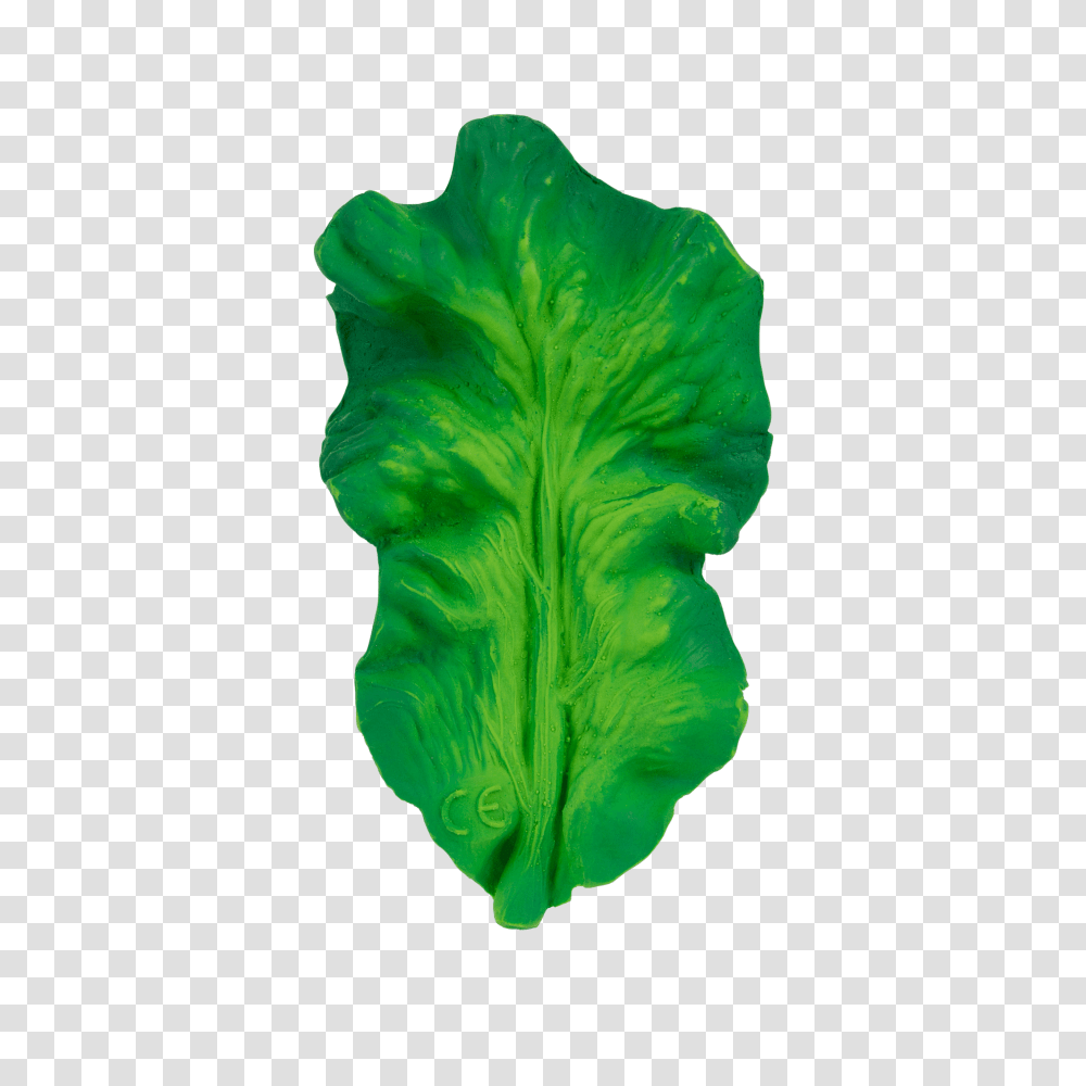 Kendall The Kale In Products Toys Baby, Plant, Leaf, Lettuce, Vegetable Transparent Png