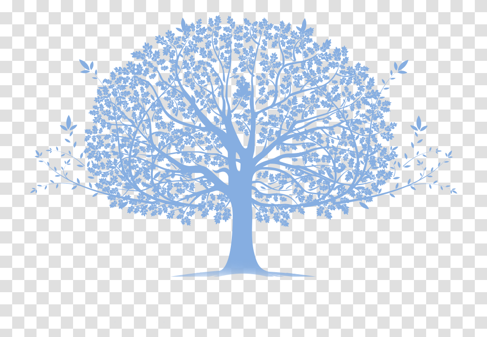 Kennedy Family Tree Family Tree Blue, Plant, Pattern, Fractal, Ornament Transparent Png