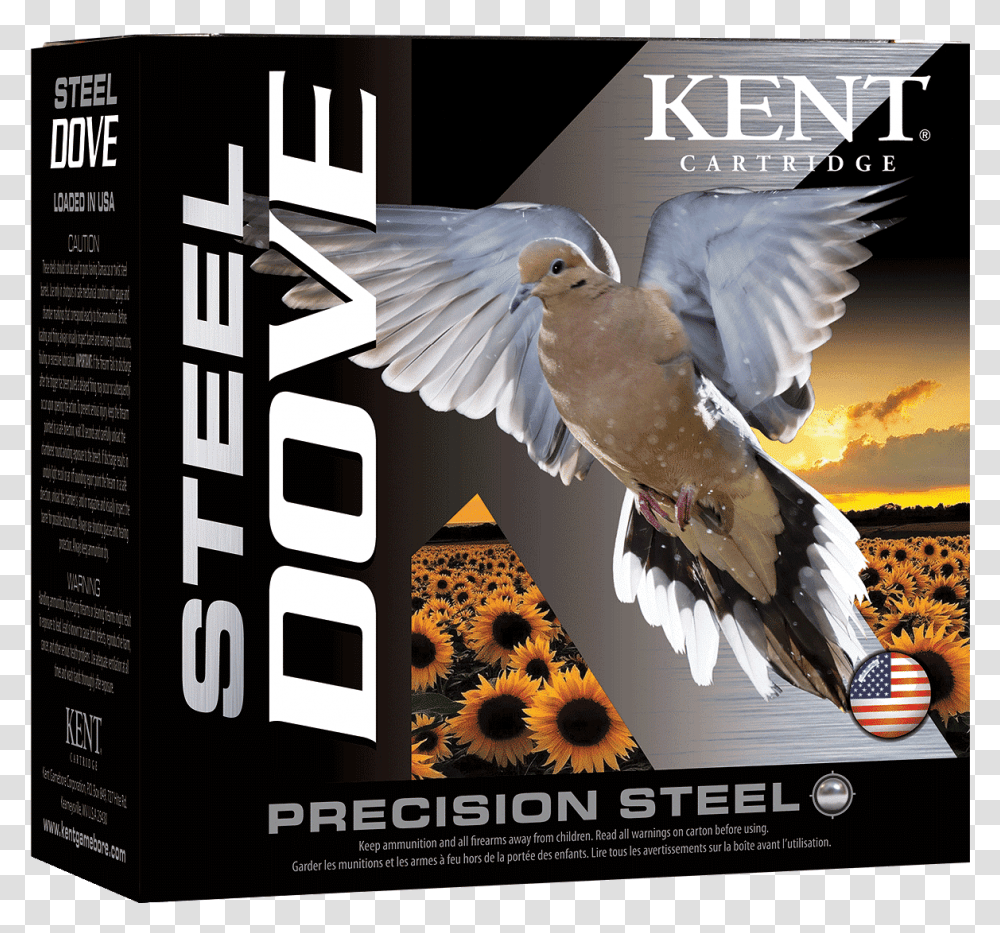 Kent Steel Dove, Bird, Animal, Pigeon Transparent Png