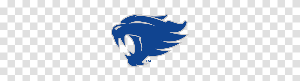 Kentucky Womens Tennis Inks Three In Early Signing Period, Animal, Jay Transparent Png