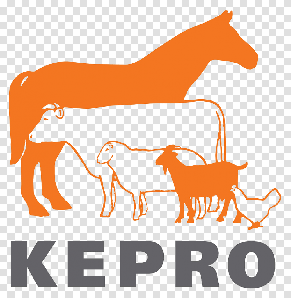 Kepro Bv, Mammal, Animal, Nature, Outdoors Transparent Png