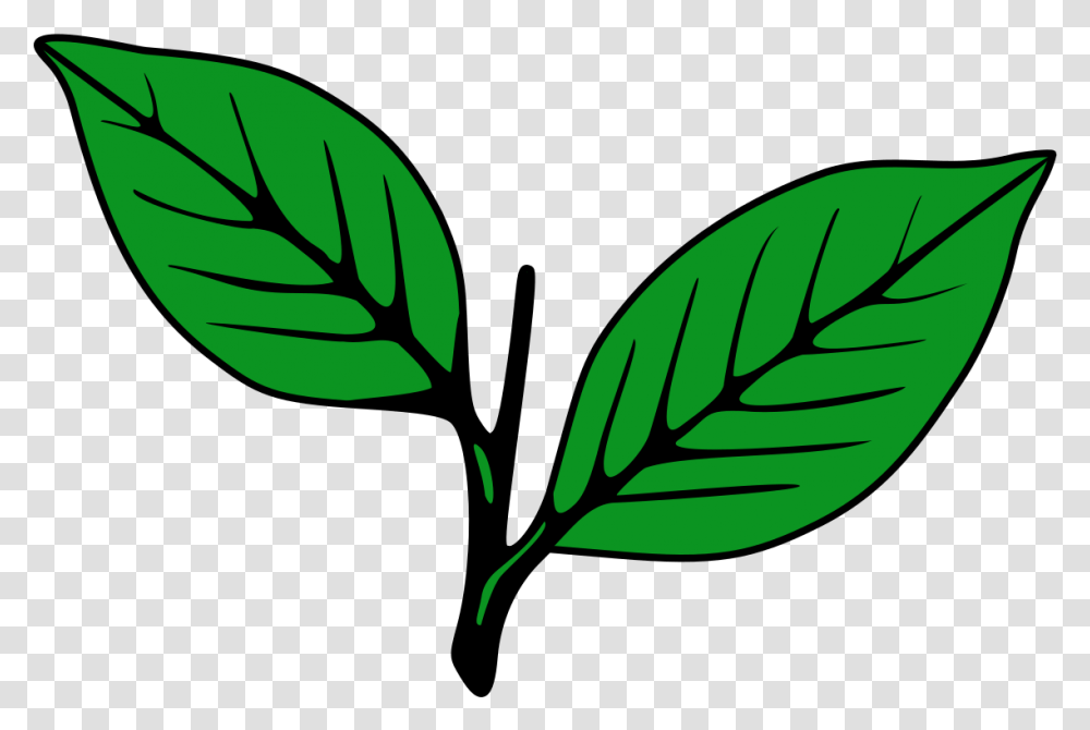 Kerala Congress Party Symbol, Leaf, Plant, Veins, Green Transparent Png