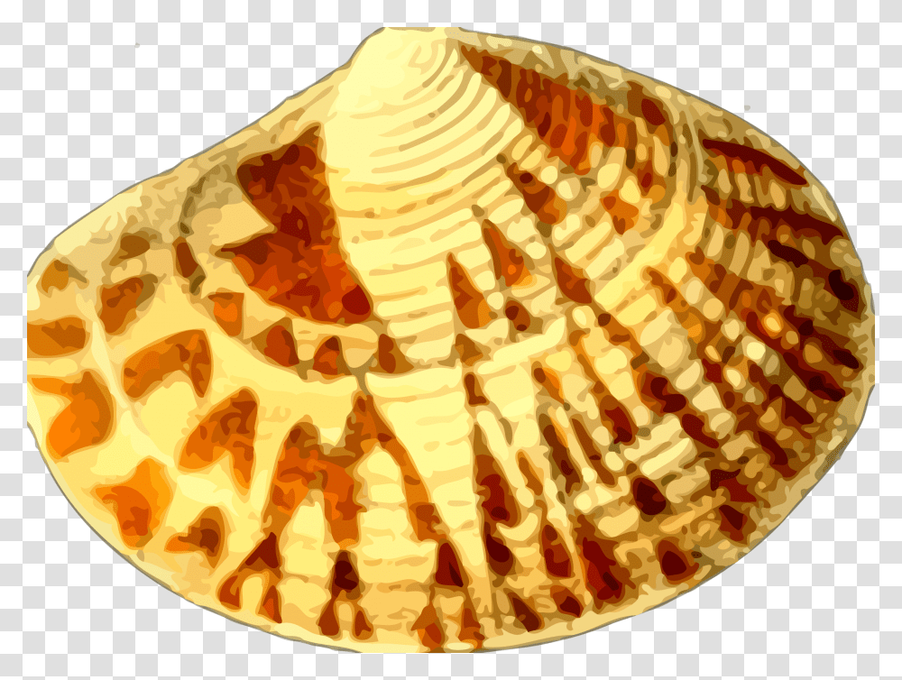 Kerang Laut Cartoon, Clam, Seashell, Invertebrate, Sea Life Transparent Png