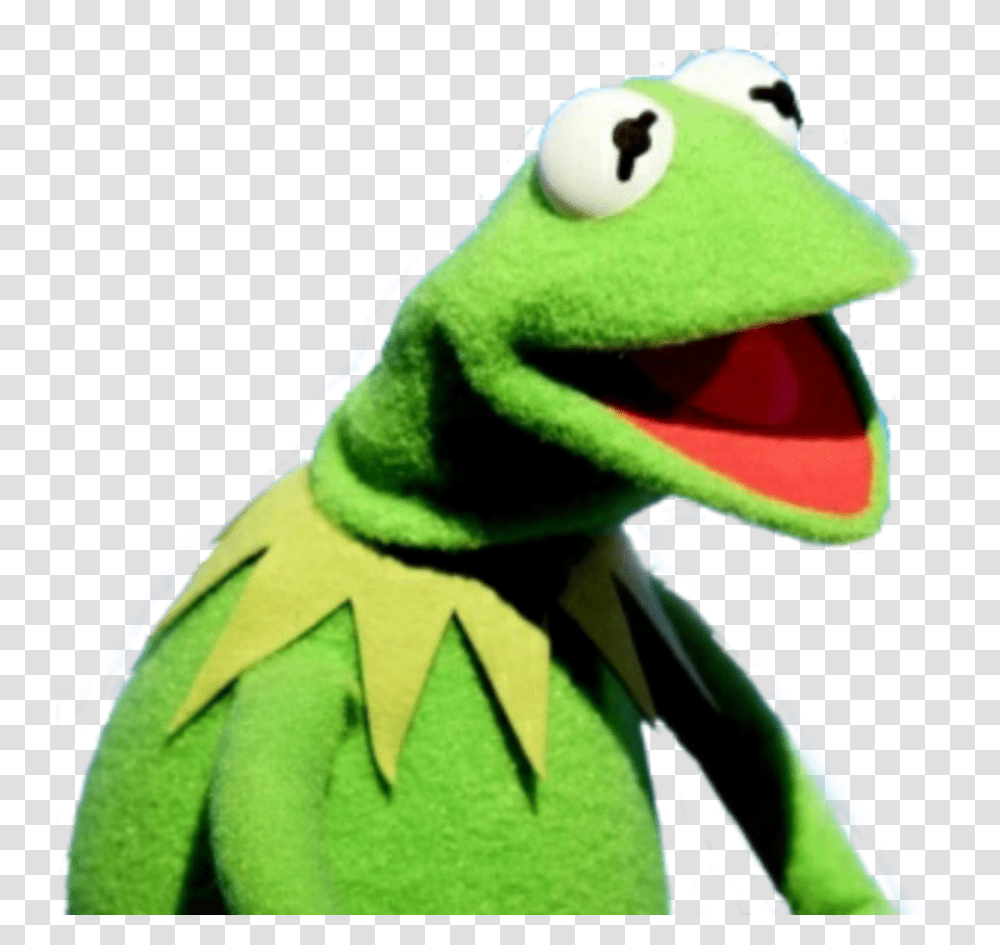 Kermit Caco Meme U Meme, Toy, Plush, Animal, Photography Transparent Png