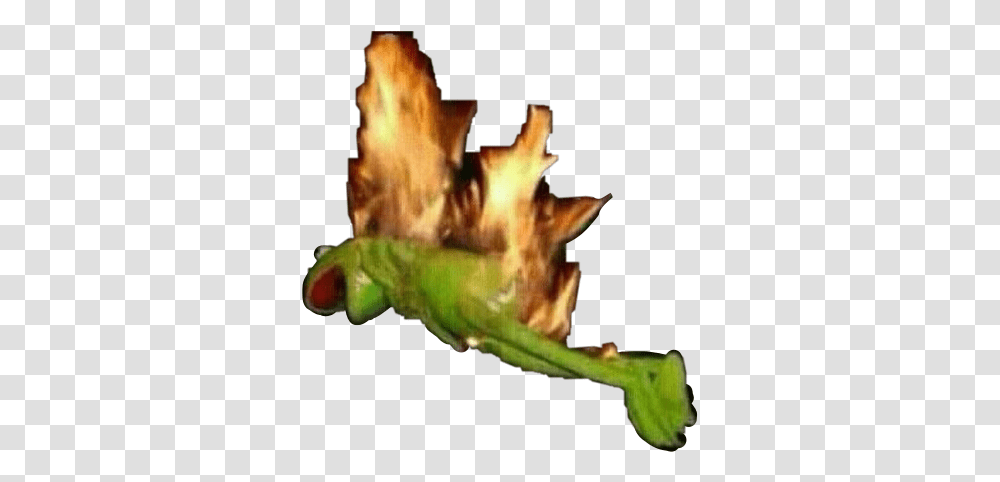 Kermit Fire Blank Template Imgflip Kermit The Frog On Fire, Bonfire, Flame Transparent Png